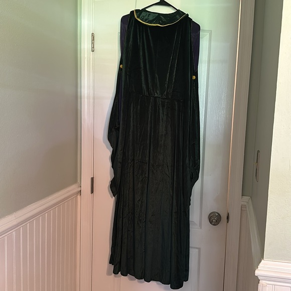 Disney costume Hocos pocus Winnie. Like new worn once .‎ - Picture 2 of 8